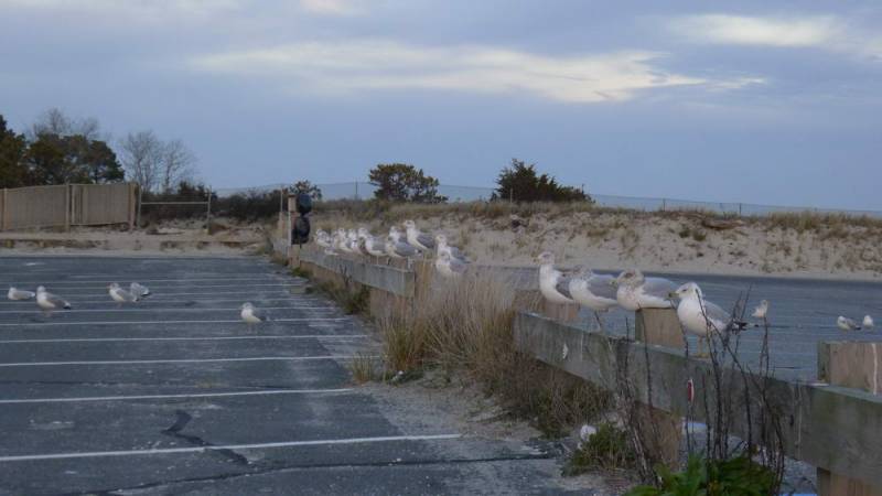 USA_2011-11-28 16-09-21